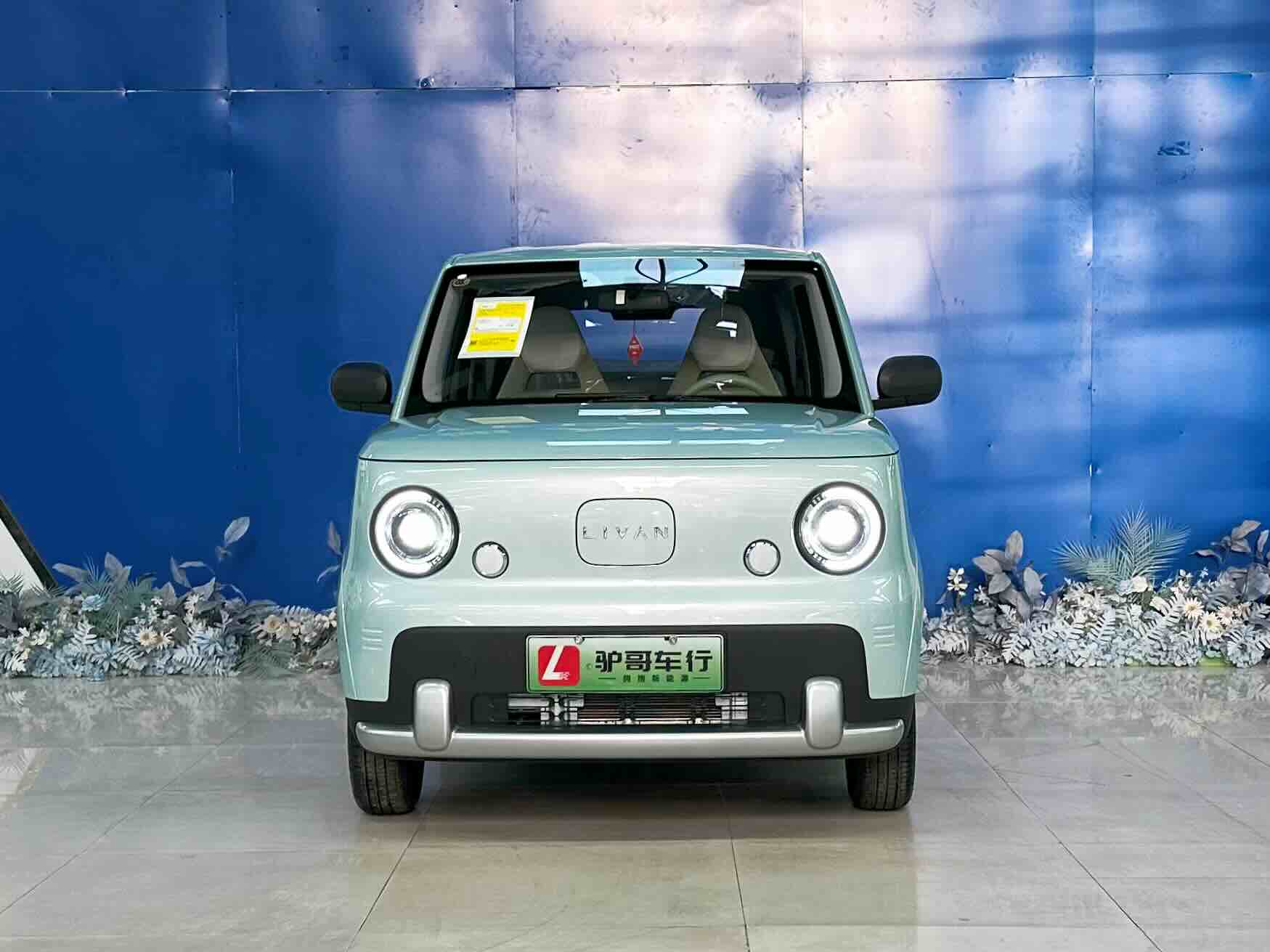 Livan 2026 #2 Livan 2026 imagen de coche #2