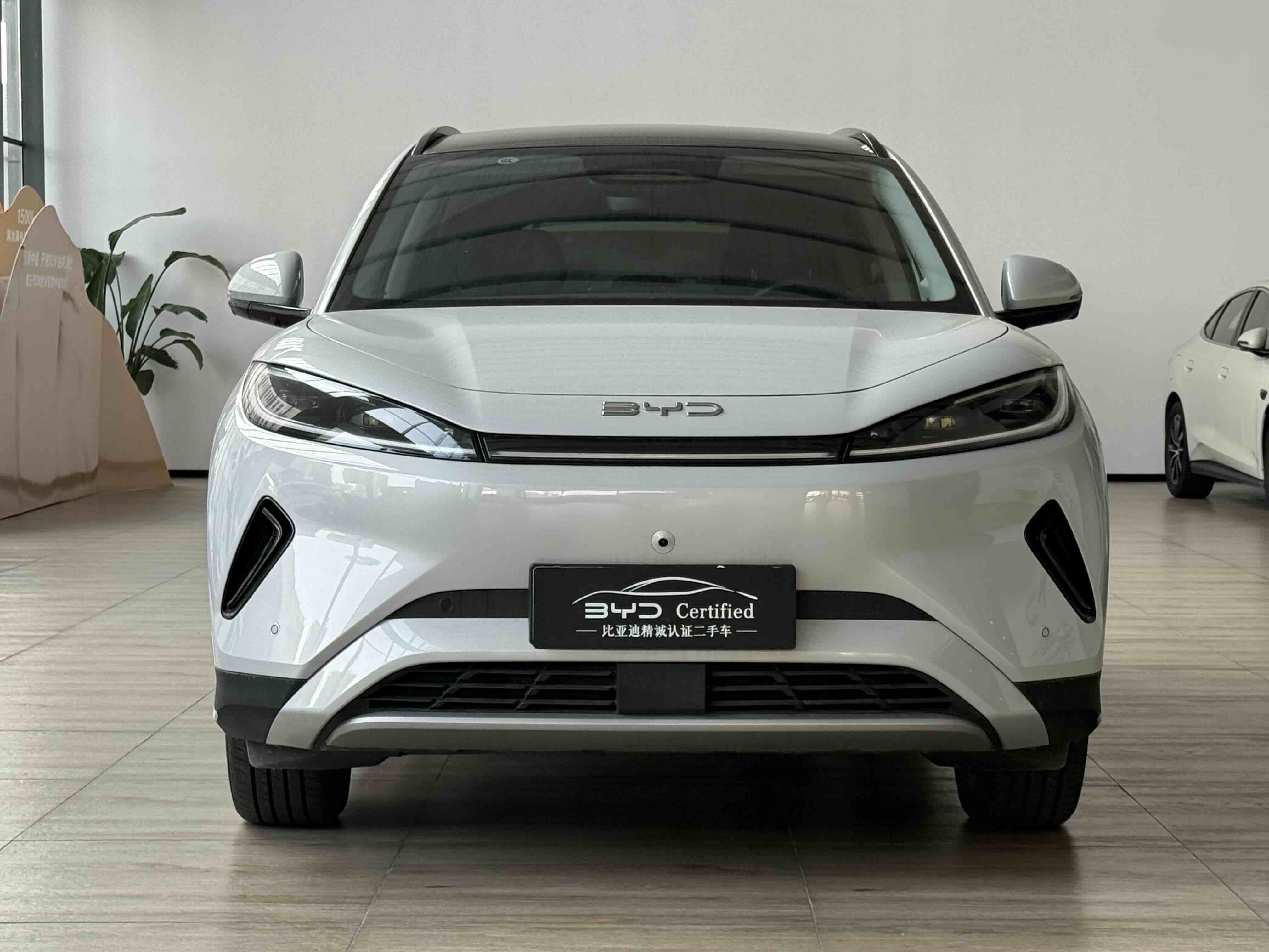 BYD Sea Lion 05 EV 2025 car image #2