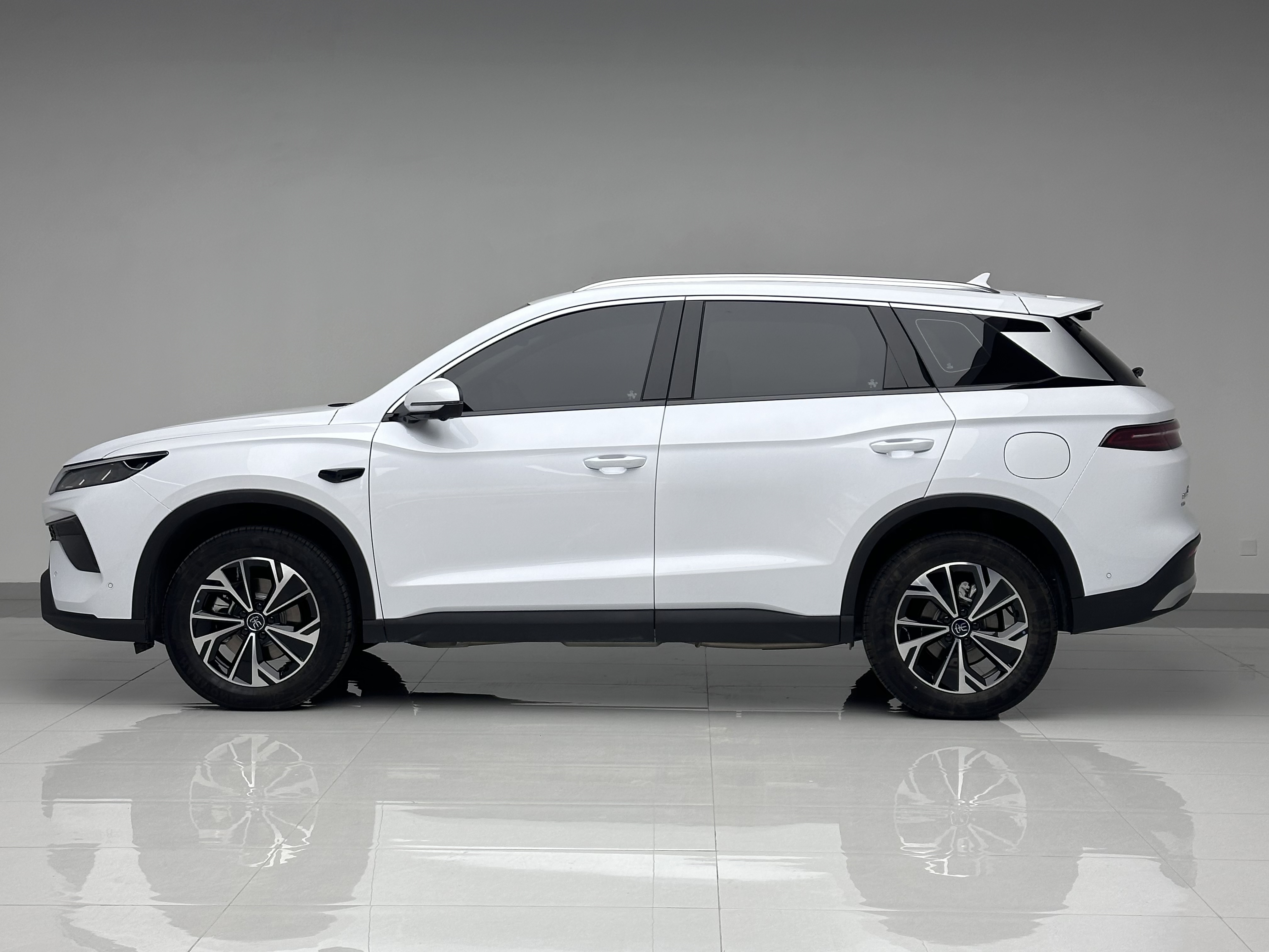 BYD Song Pro New Energy 2025 car image #2