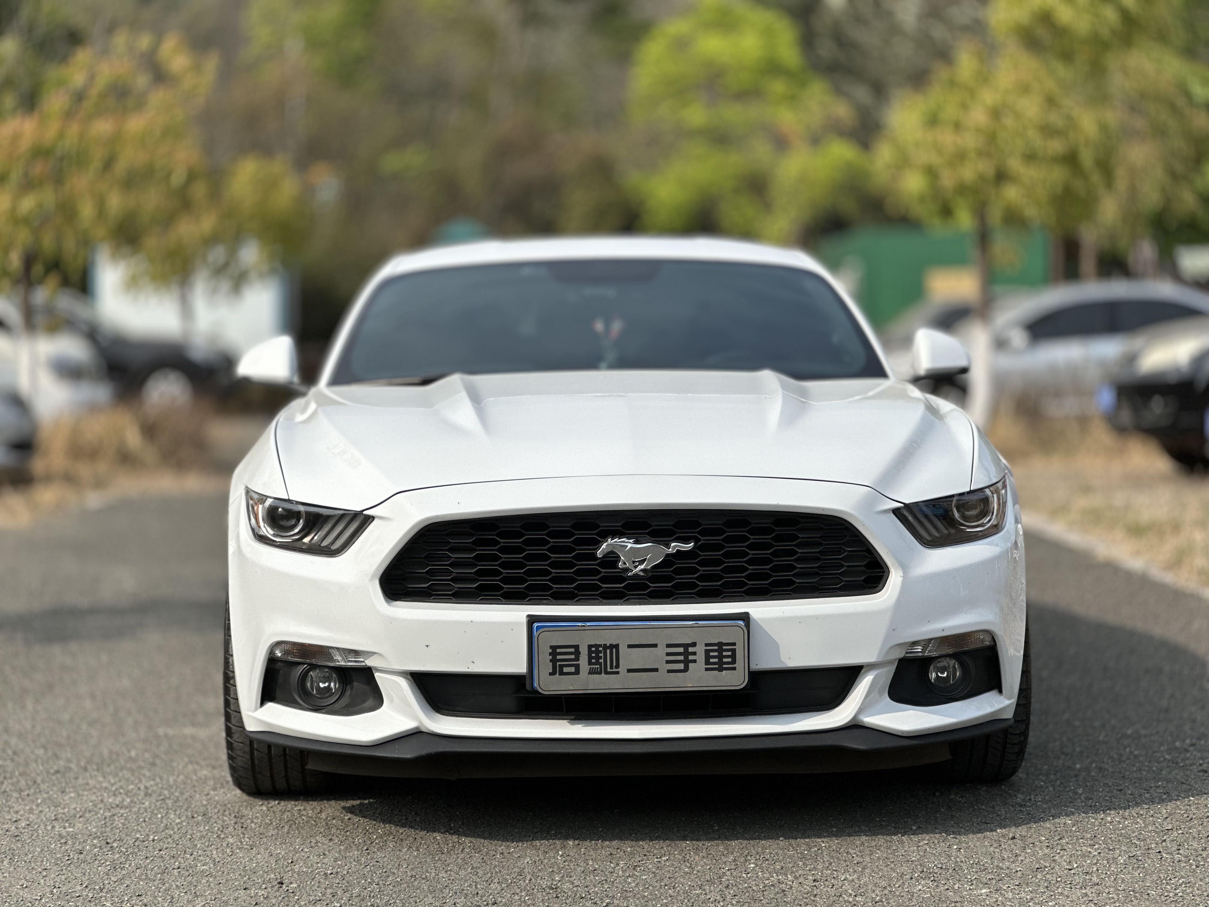 Ford Mustang 2015 car image #2