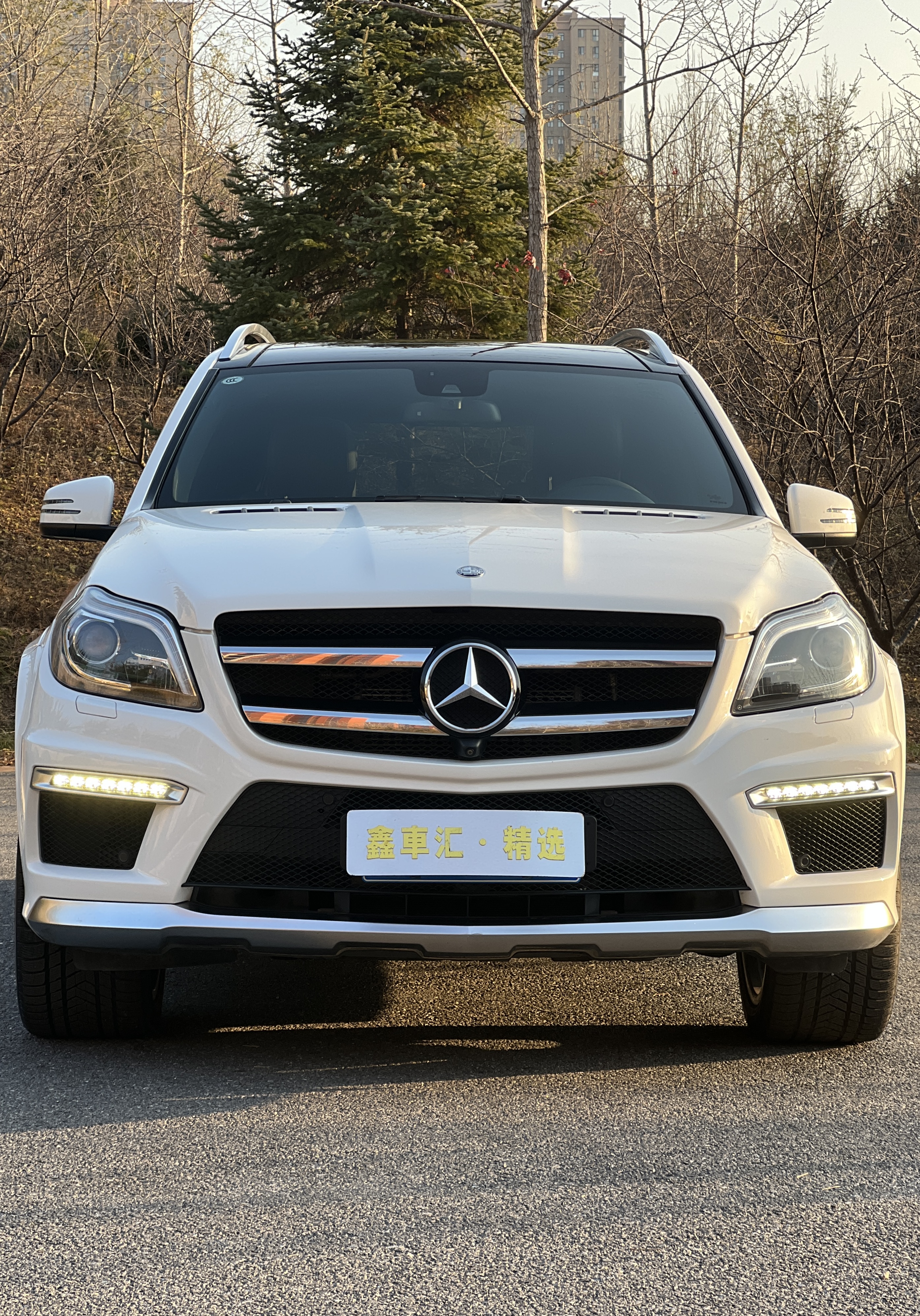 Mercedes-Benz GL AMG 2015 #2 Mercedes-Benz GL AMG 2015 immagine di auto #2