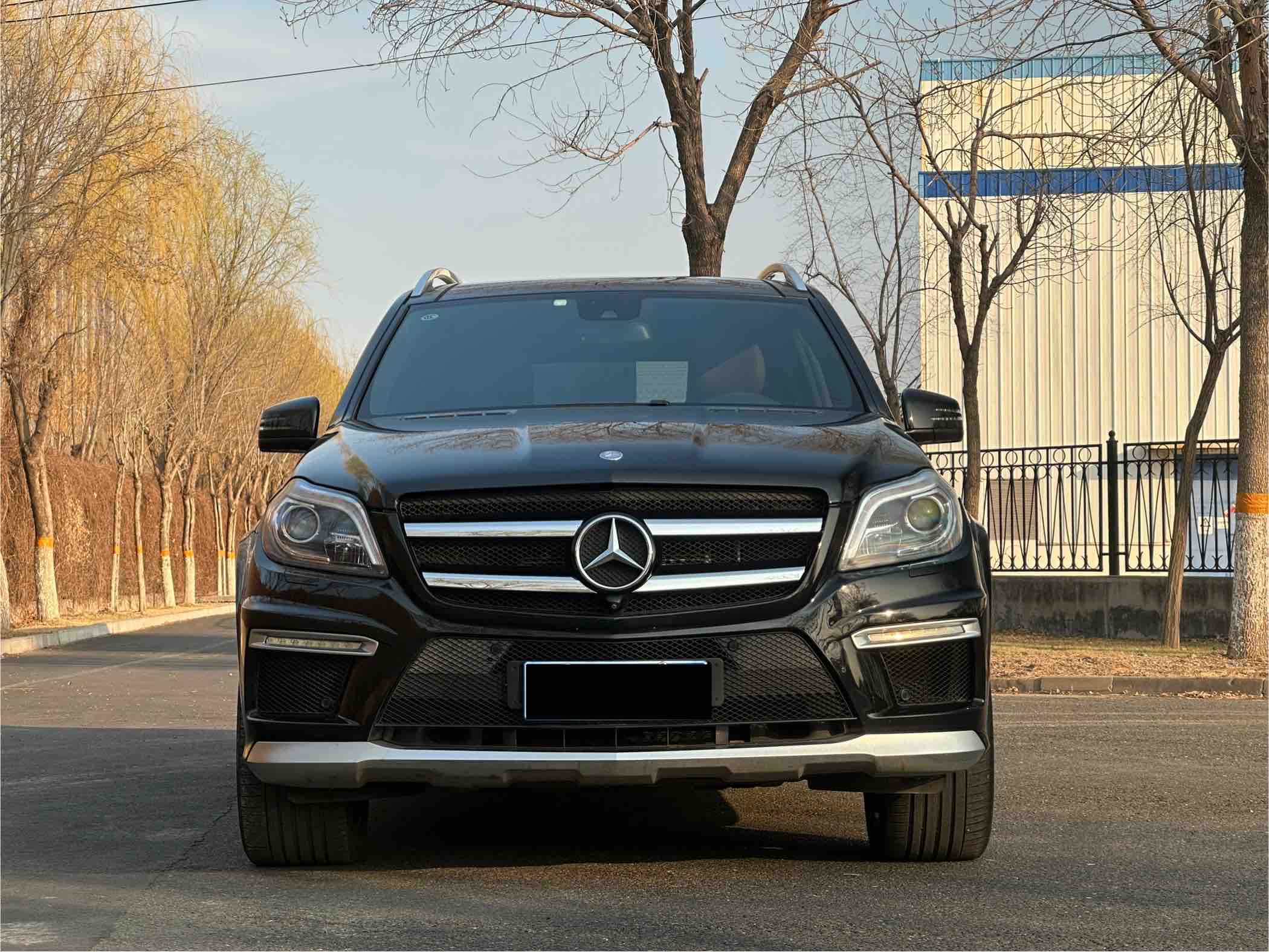 Mercedes-Benz GL AMG 2015 imagem de carro #2