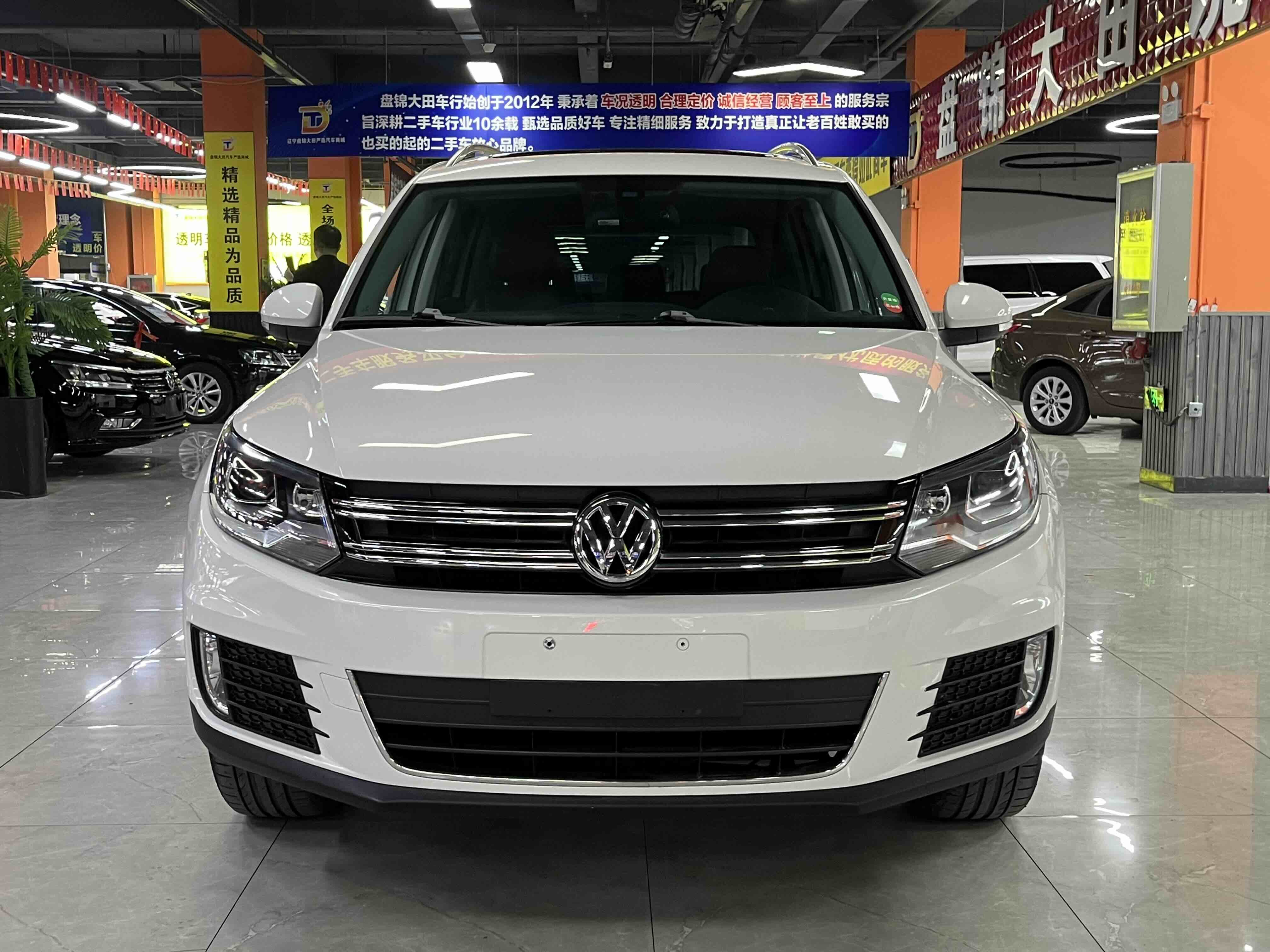 Volkswagen Tiguan 2015 immagine di auto #2