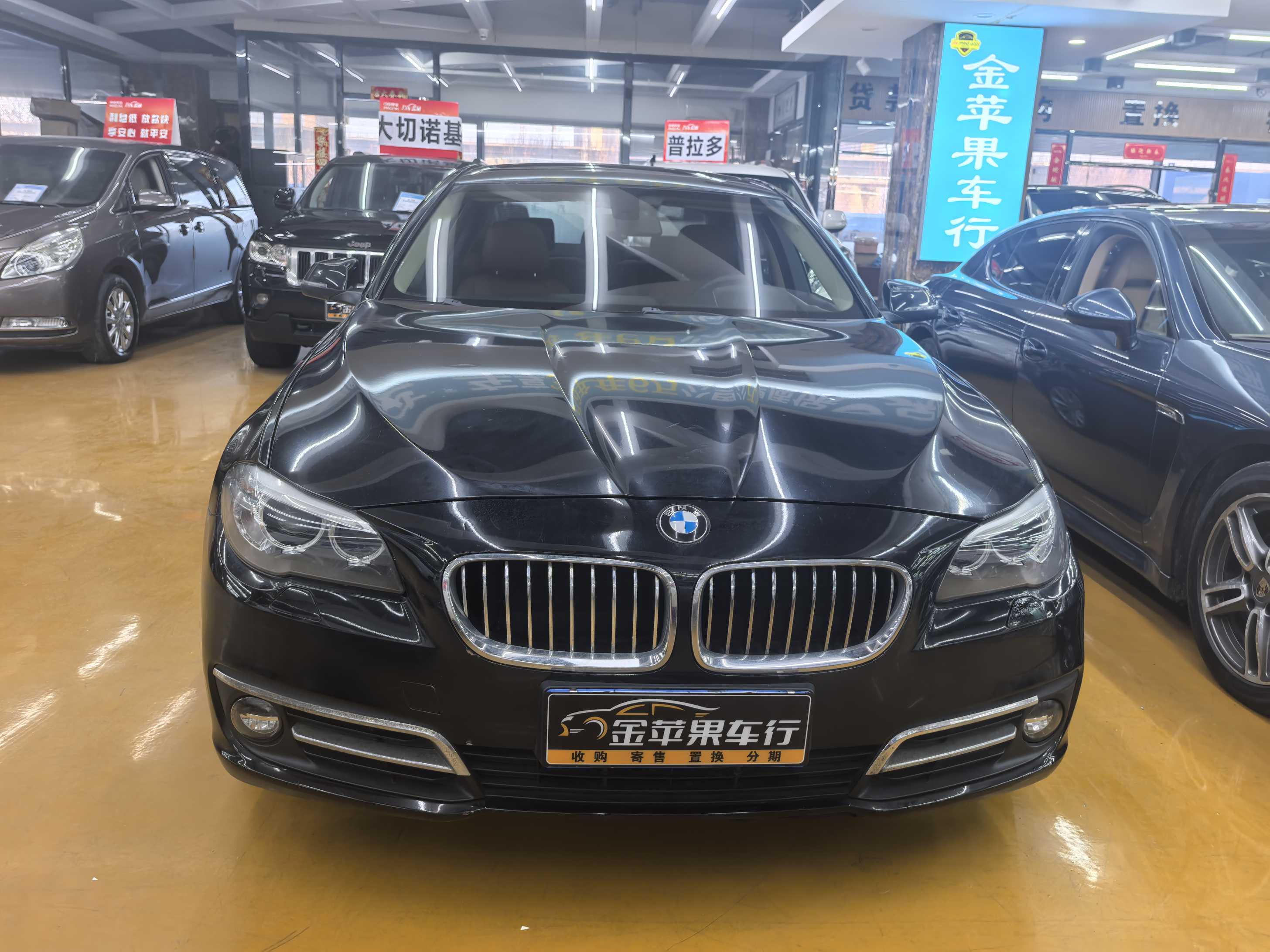 BMW 5 Series 2016 car image #2