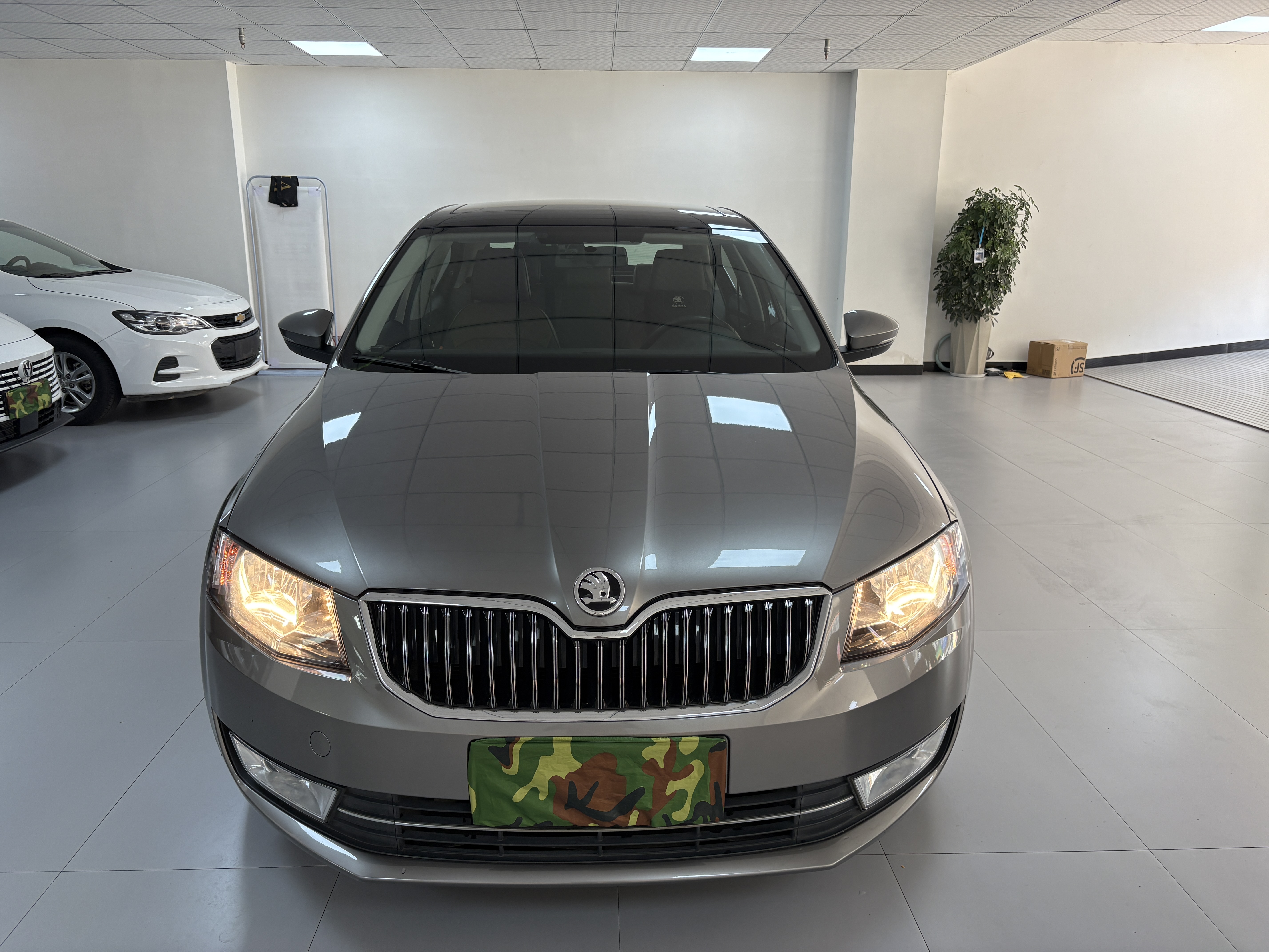 Skoda Octavia 2015 imagem de carro #2