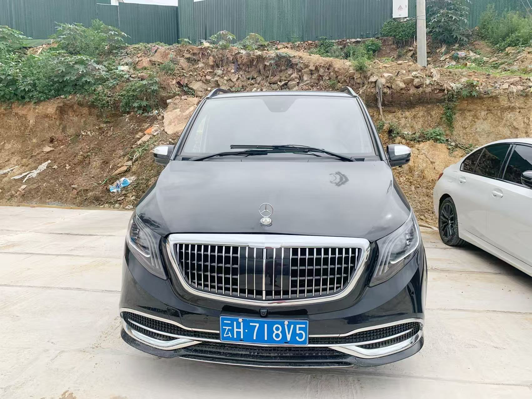 Mercedes-Benz Viano (Imported) 2011 car image #2