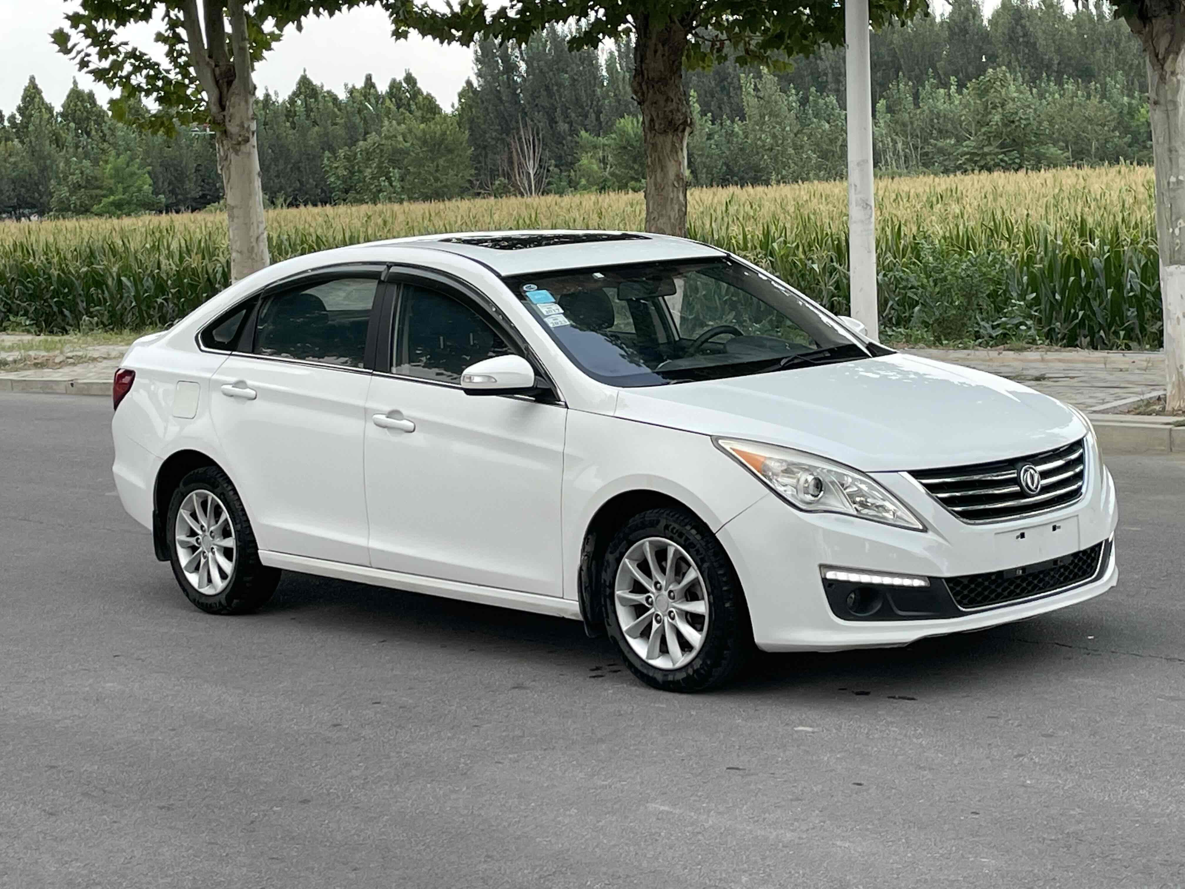 Forthing JOYEAR S50 2015 immagine di auto #2