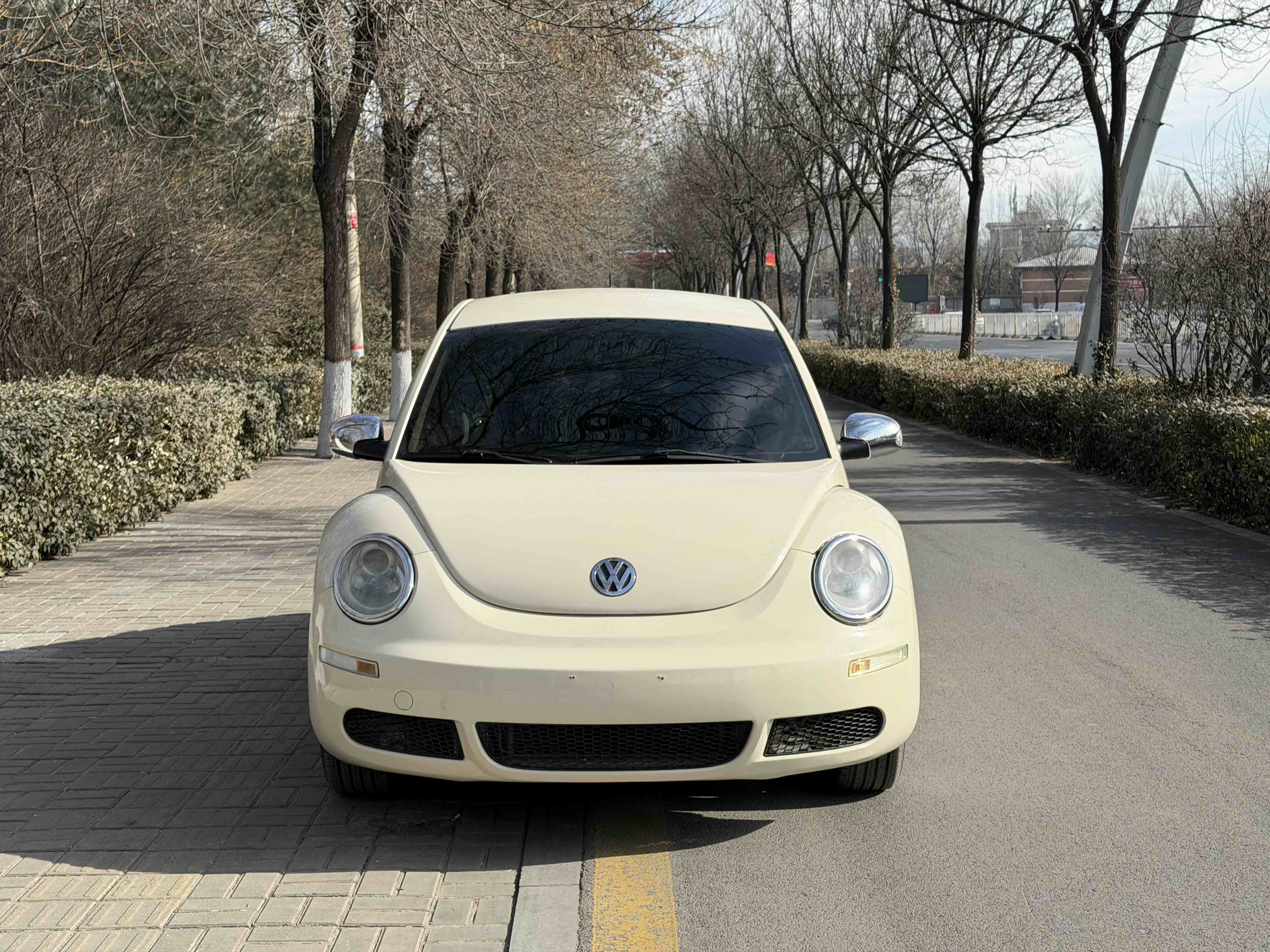 Volkswagen Beetle 2010 immagine di auto #2