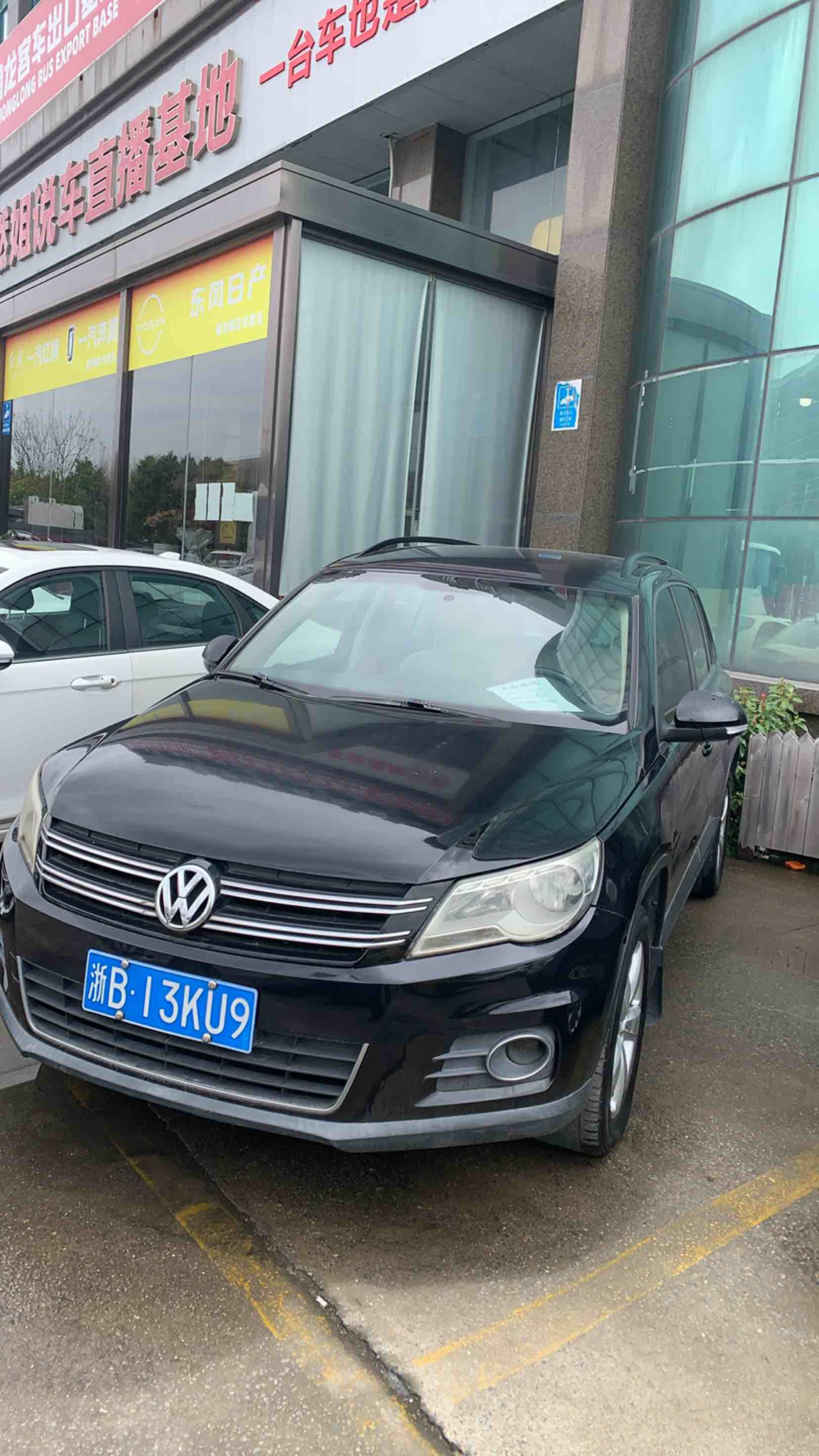 Volkswagen Tiguan 2011 car image #2