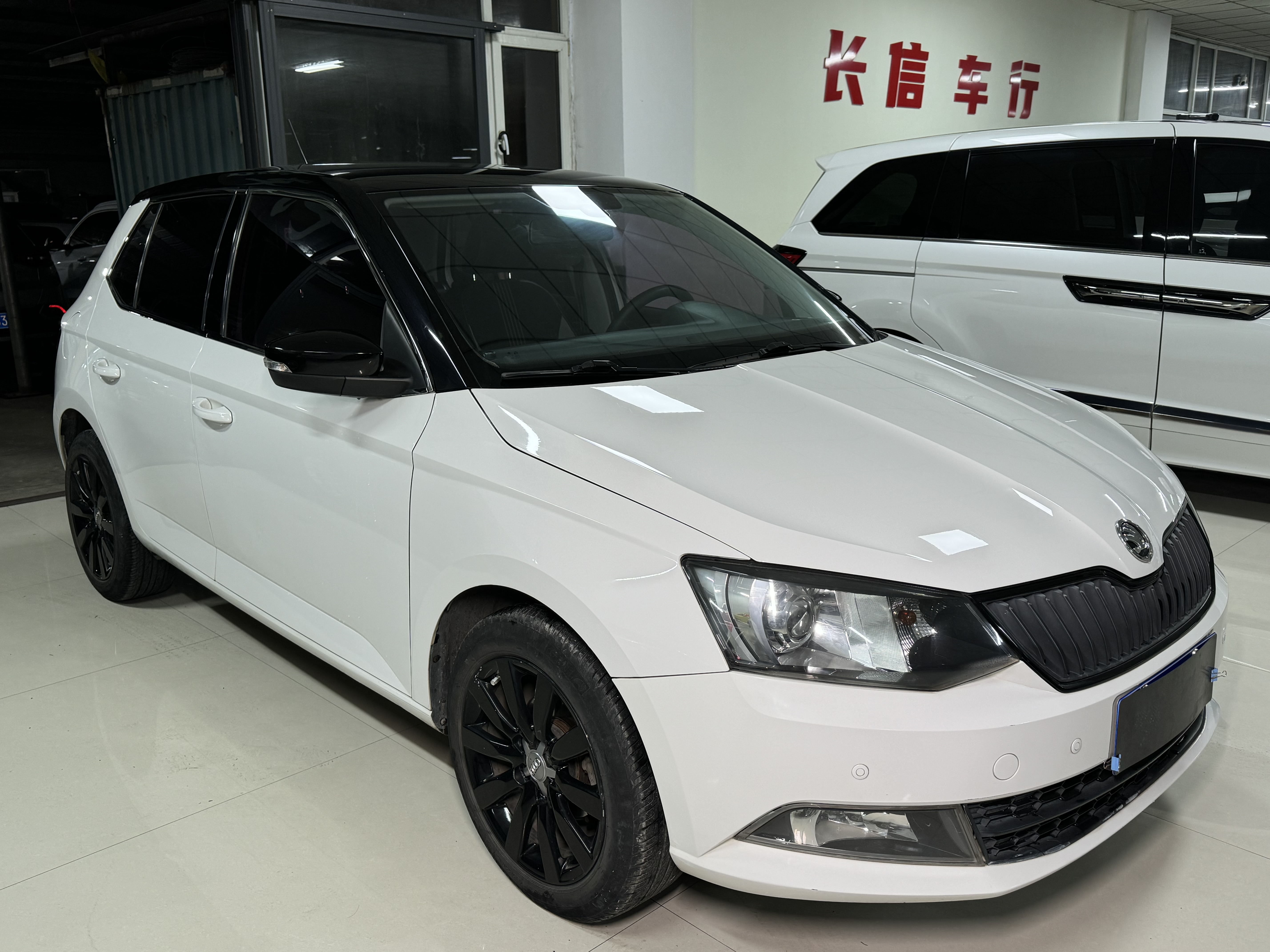 Skoda Fabia 2016 immagine di auto #2