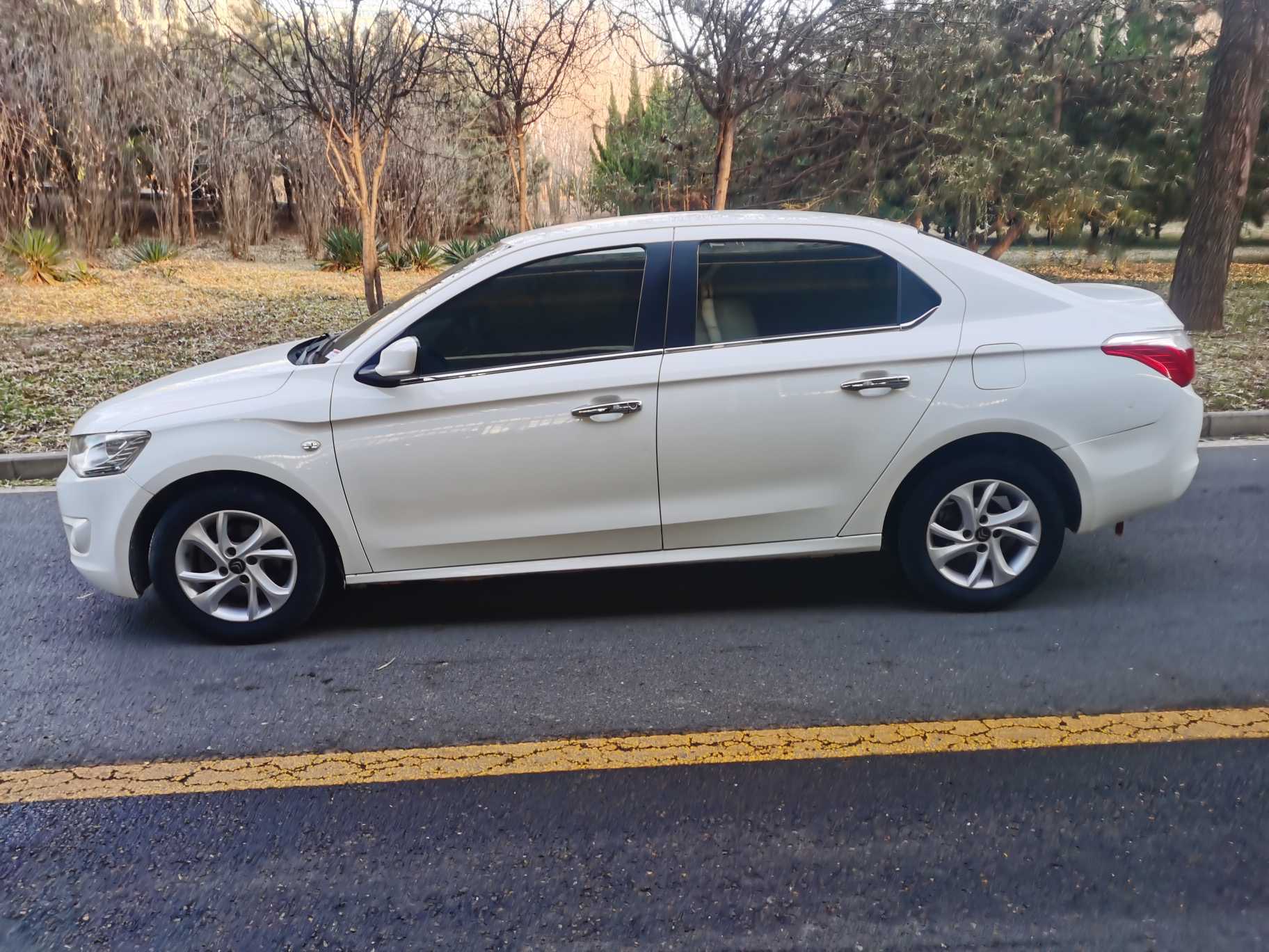 Citroen C-Elysée 2015 imagen de coche #2