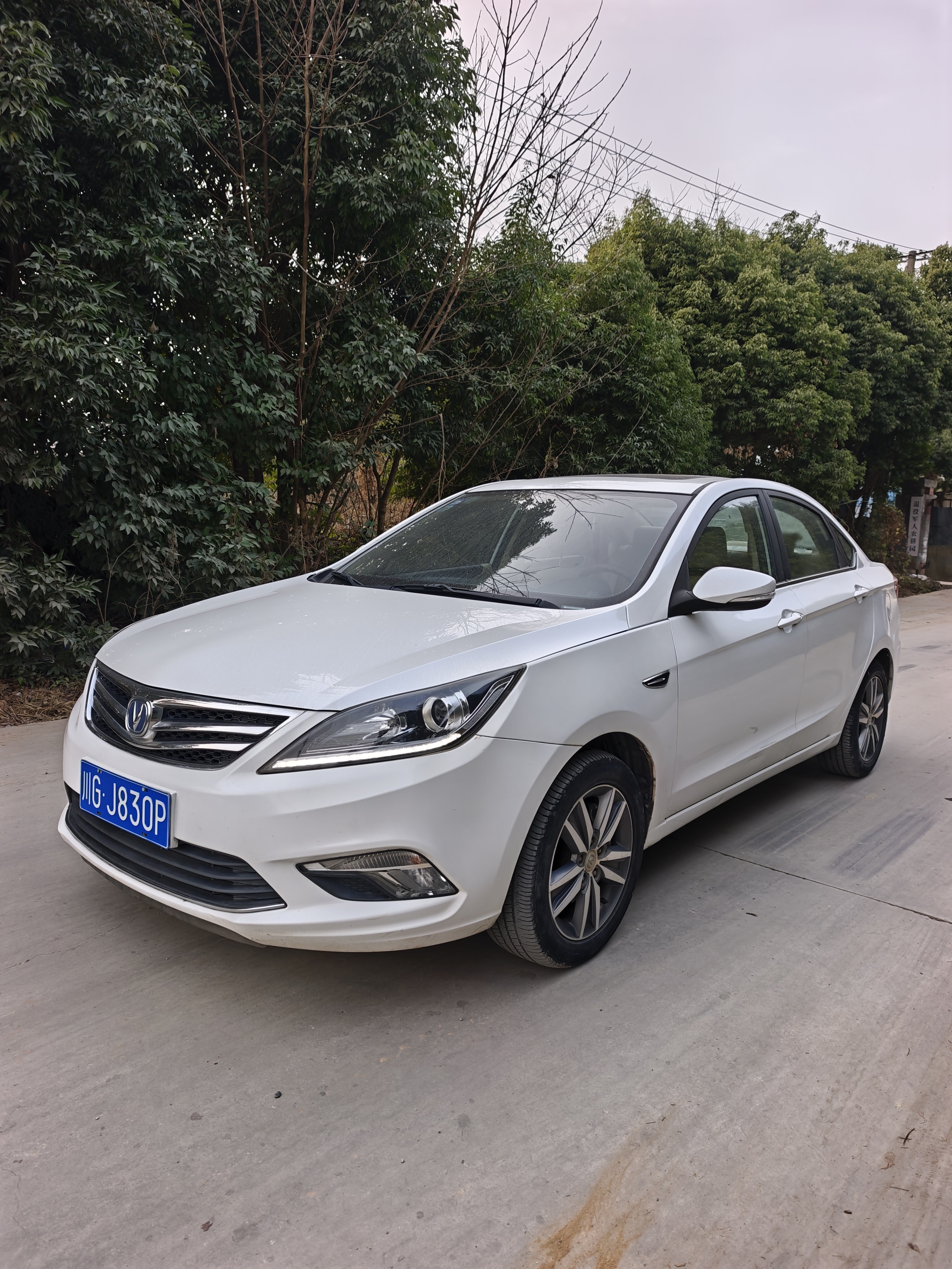 Changan Eado 2017 صورة سيارة #2
