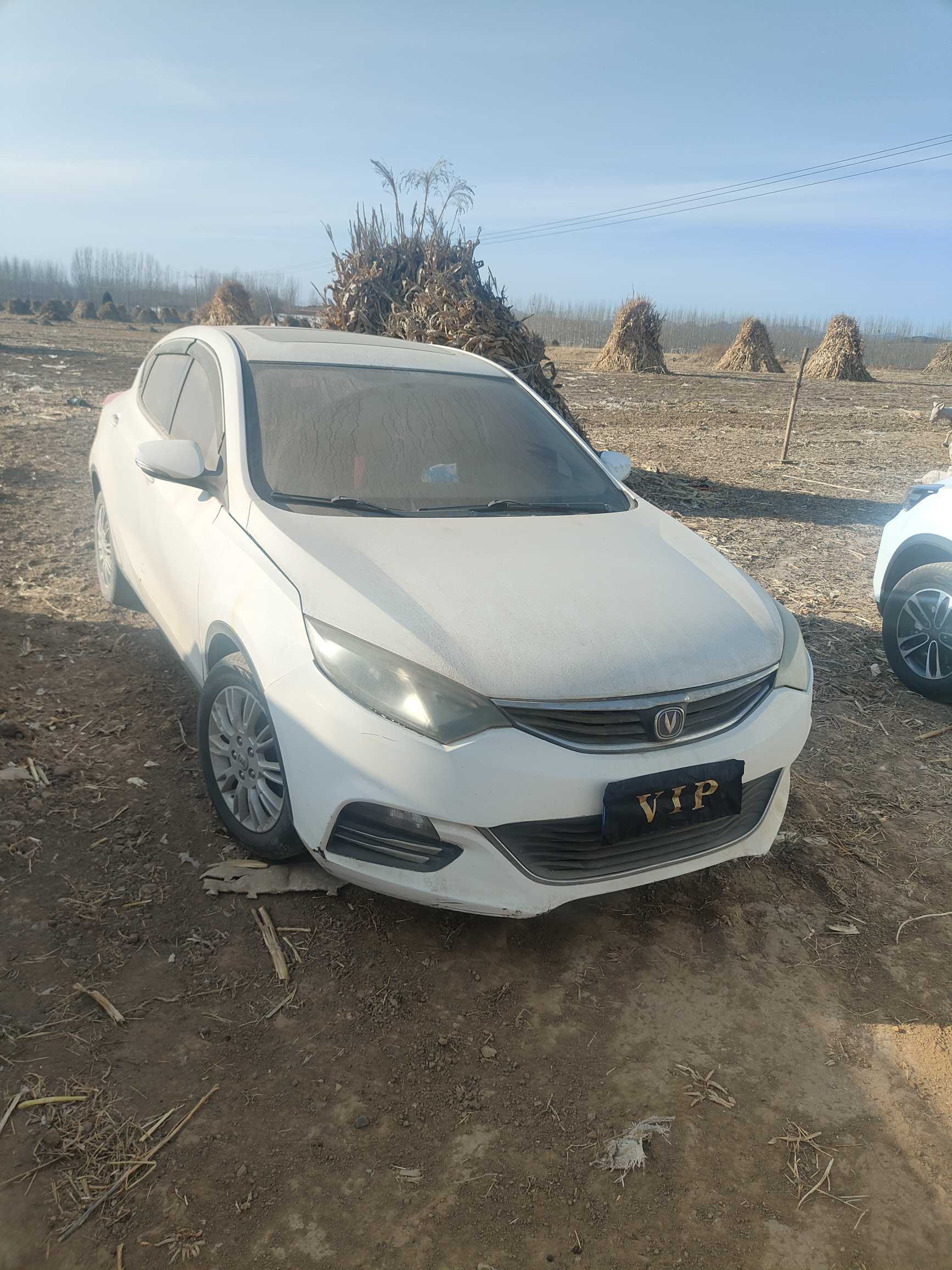 Changan Eado 2014 صورة سيارة #2