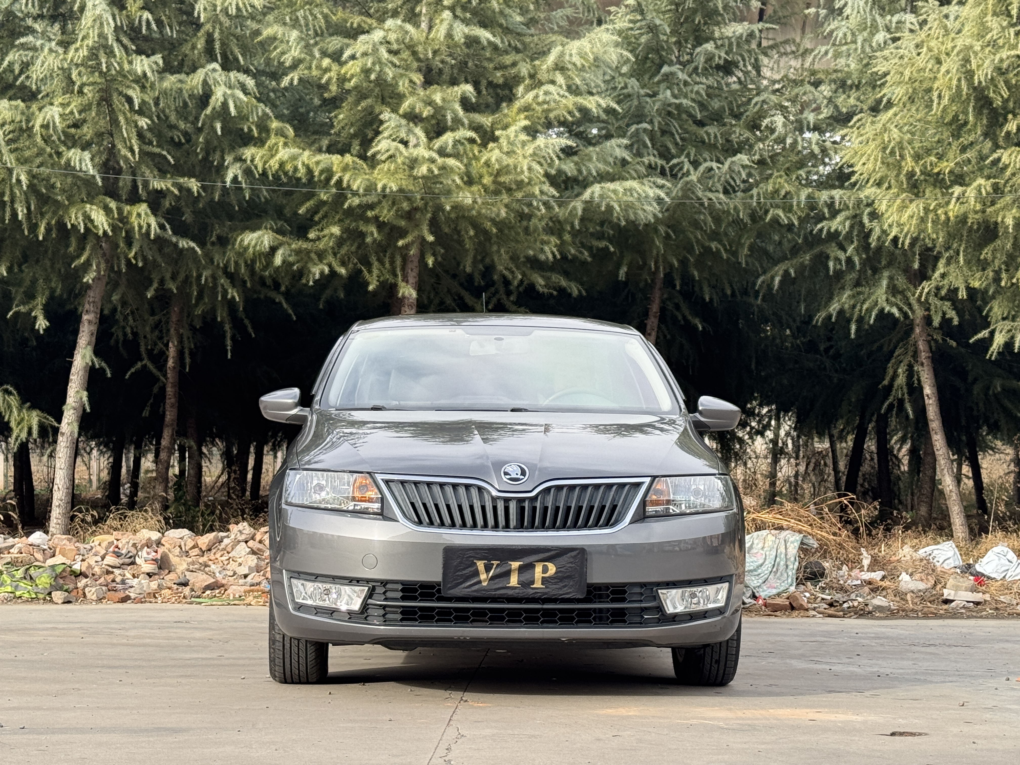 Skoda Rapid 2016 #2 Skoda Rapid 2016 car image #2