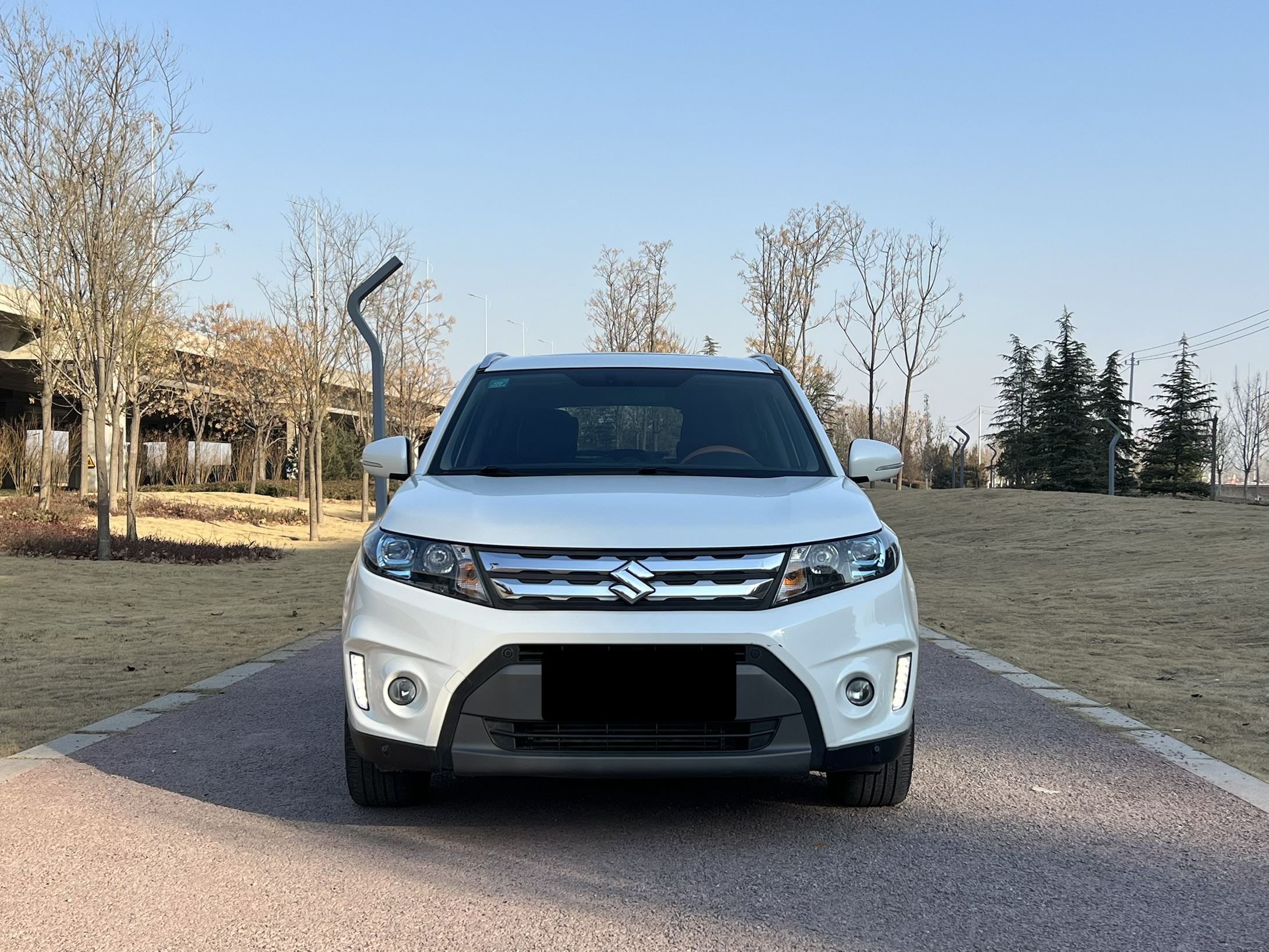 Suzuki Vitara 2016 image de voiture #2