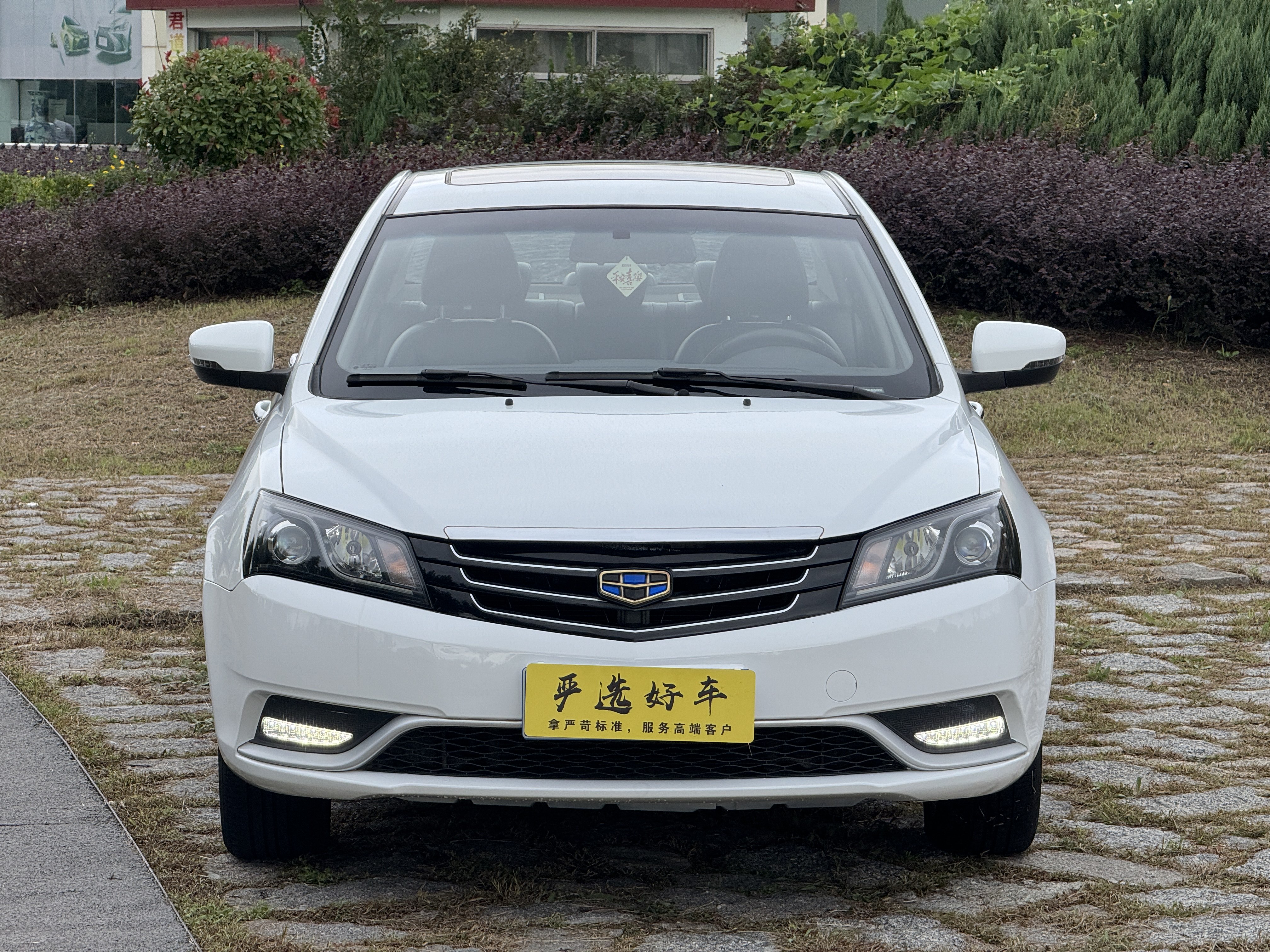 Emgrand 2016 #2 Emgrand 2016 car image #2