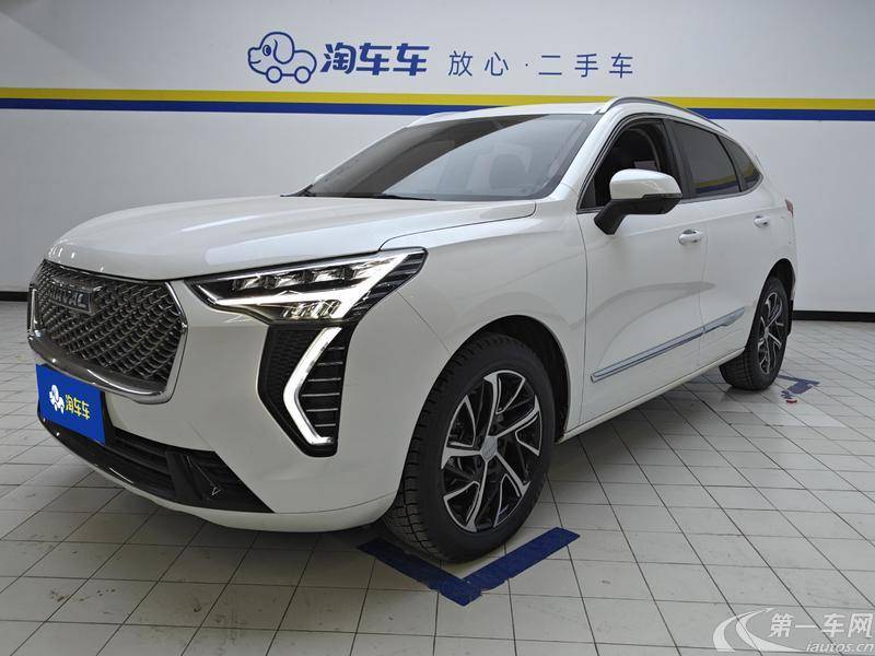 Haval Jolion 2021 immagine di auto #2