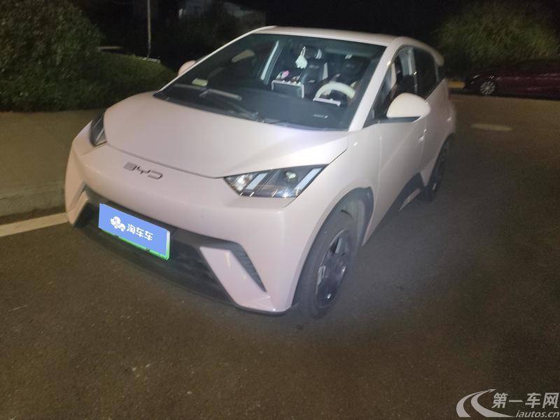 BYD Xia 2023 car image #2