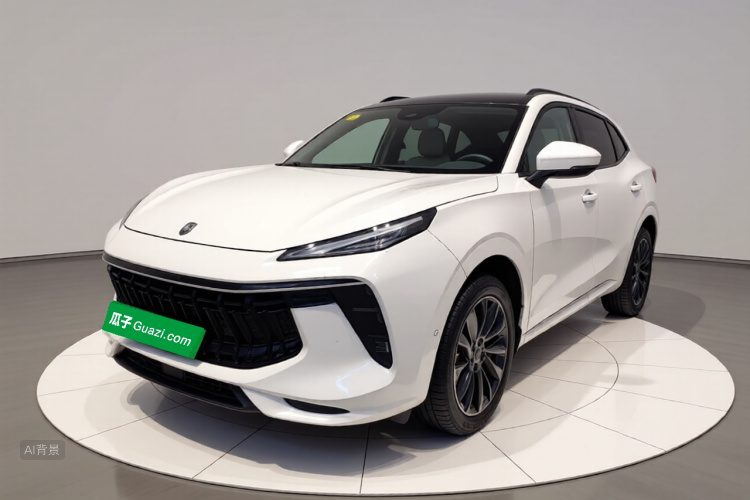T5 EVO 2021 car image #2