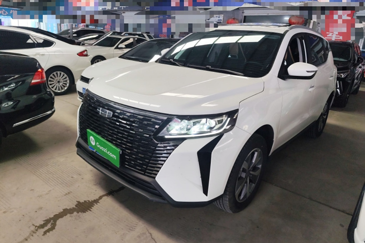 GEELY OkavangoPRO 2024 car image #2