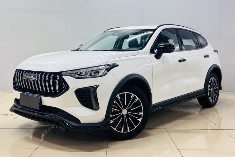 Haval Rabbit 2024 #2 Haval Rabbit 2024 car image #2