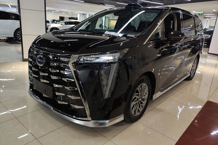 GAC Trumpchi Xiangwang M8 2025 car image #2