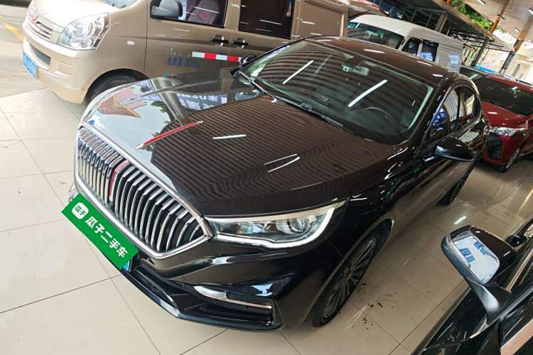 HongQi S9 2021 car image #2