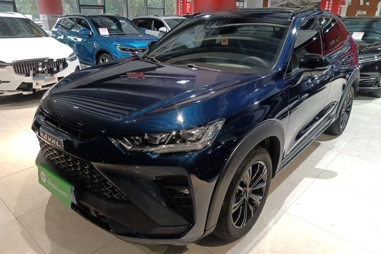 Haval H6S 2022 #2 Haval H6S 2022 immagine di auto #2