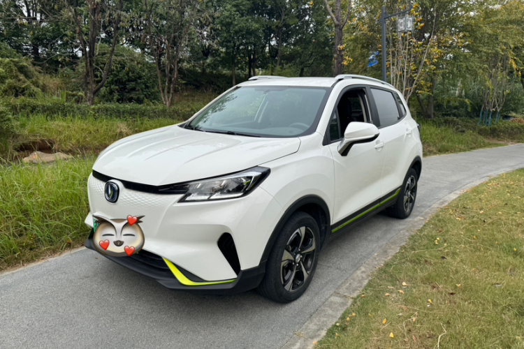 Changan E-Pro New Energy 2020 car image #2