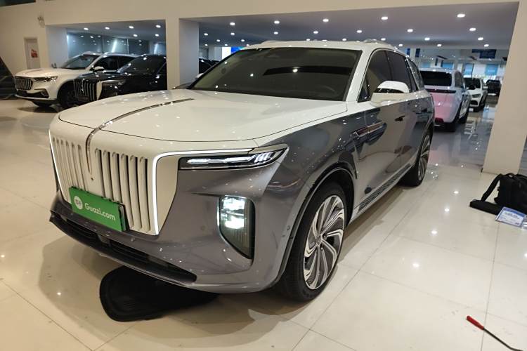 HongQi E-HS9 2022 immagine di auto #2