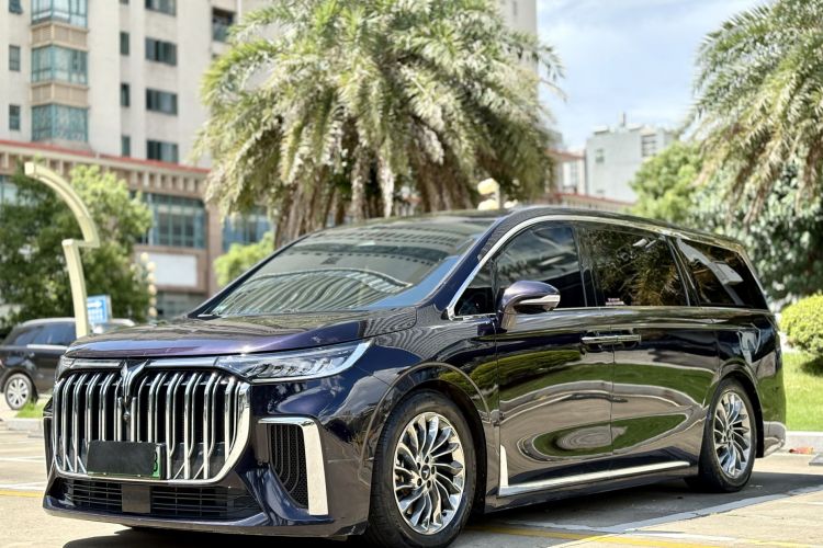 岚图汽车 岚图梦想家 2023 汽车图片 #2