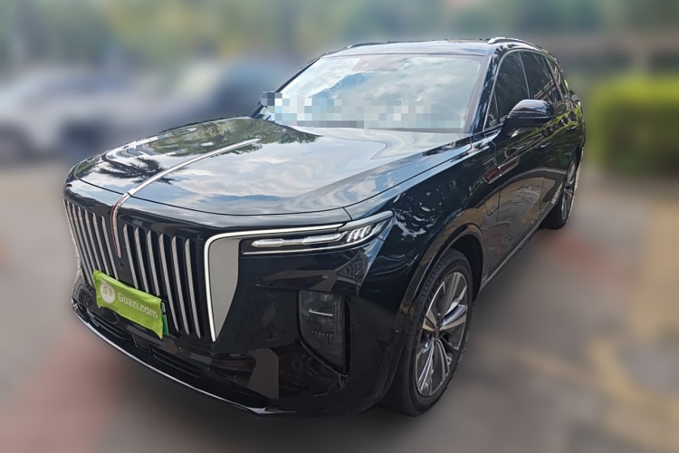 HongQi E-HS9 2022 car image #2