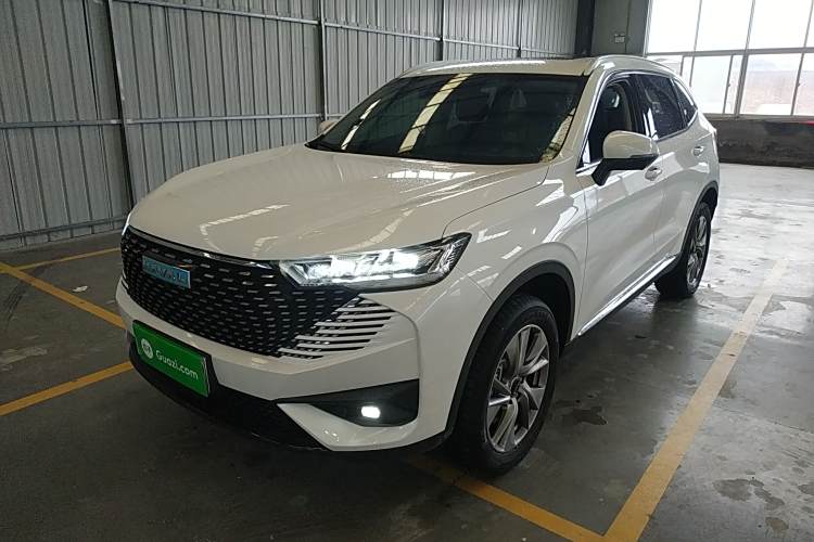 Haval H6 2022 immagine di auto #2