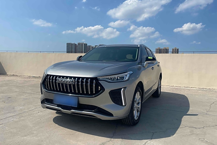 Haval Rabbit 2024 car image #2