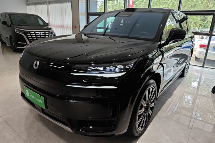 Denza N9 2025 imagem de carro #2