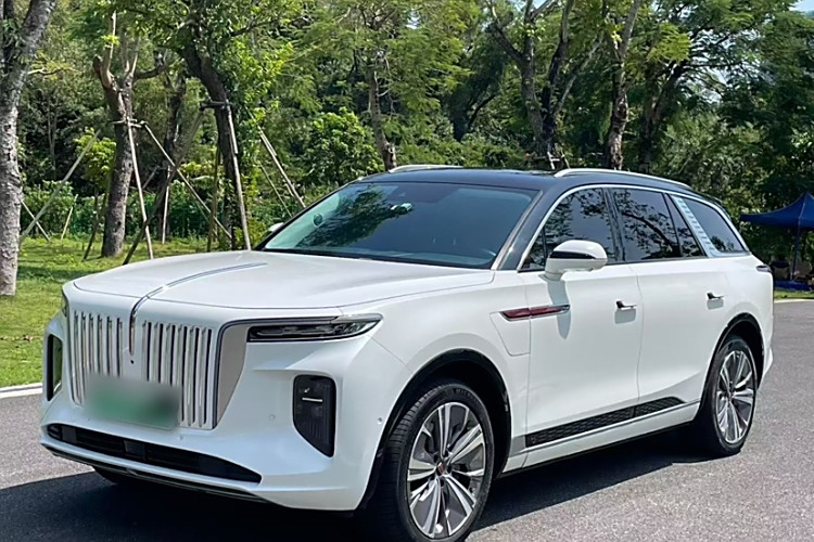 HongQi E-HS9 2021 immagine di auto #2