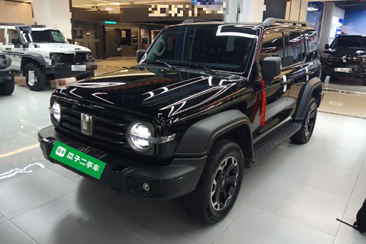 Tank 300 New Energy 2025 car image #2