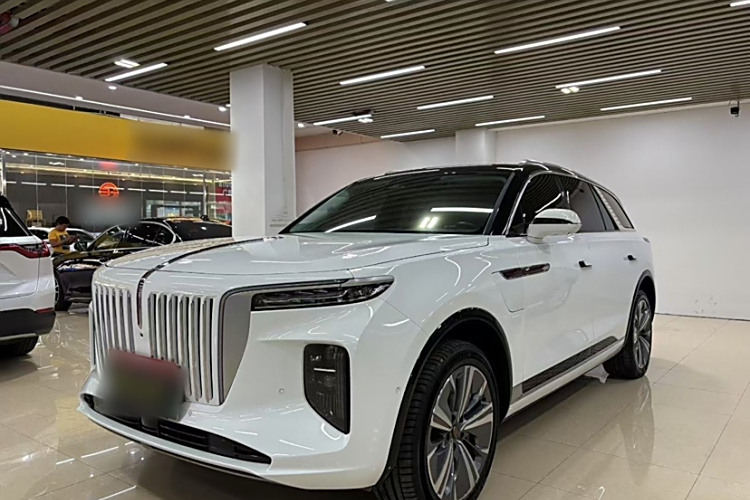 HongQi E-HS9 2021 immagine di auto #2