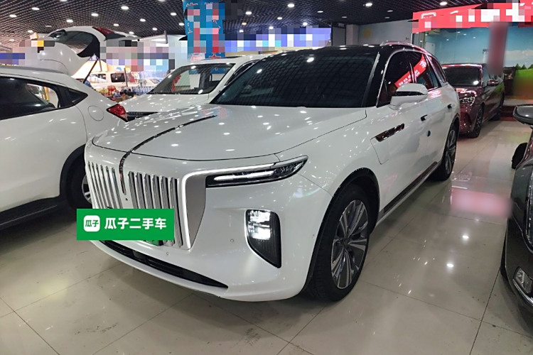 HongQi E-HS9 2021 immagine di auto #2
