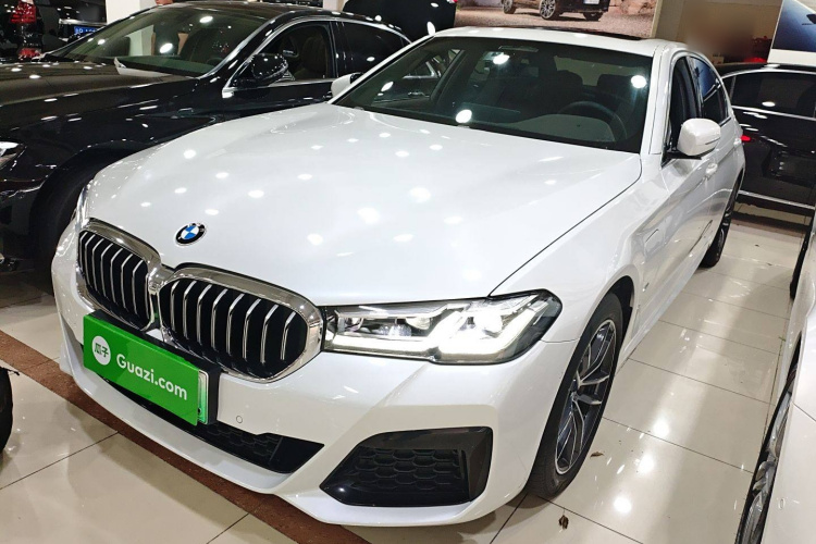 BMW 5 Series New Energy 2021 car image #2