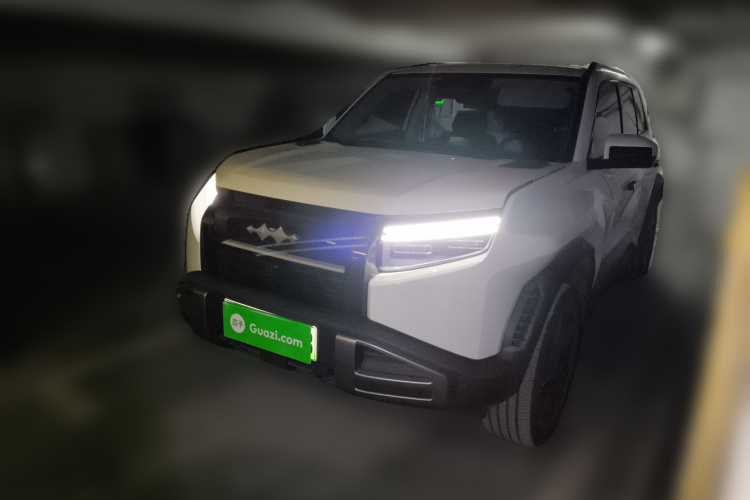 FangChengBao Tiger 3 2025 car image #2