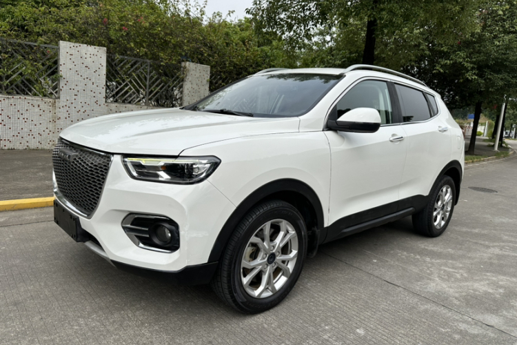 Haval H2s 2019 car image #2
