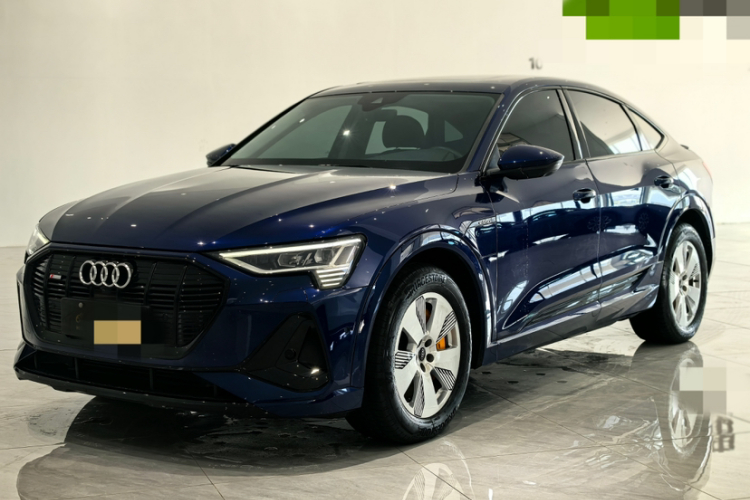 Audi e-tron (Imported) 2022 car image #2