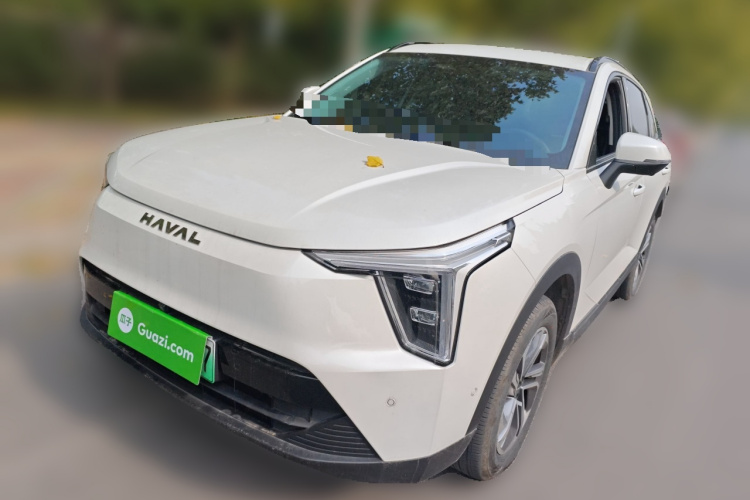 Haval Fierce Dragon 2024 car image #2