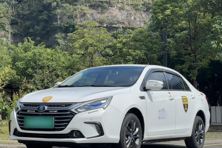 BYD Qin New Energy 2018 car image #2