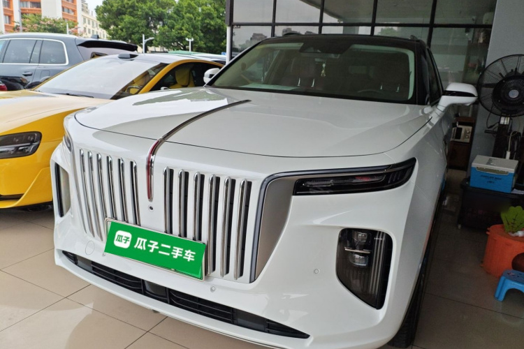 HongQi E-HS9 2021 immagine di auto #2