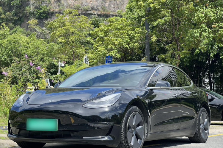 特斯拉 Model 3(进口) 2019 汽车图片 #2
