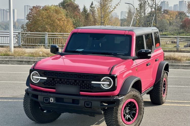 福特 福特烈马 2024 #2 福特 福特烈马 2024 汽车图片 #2