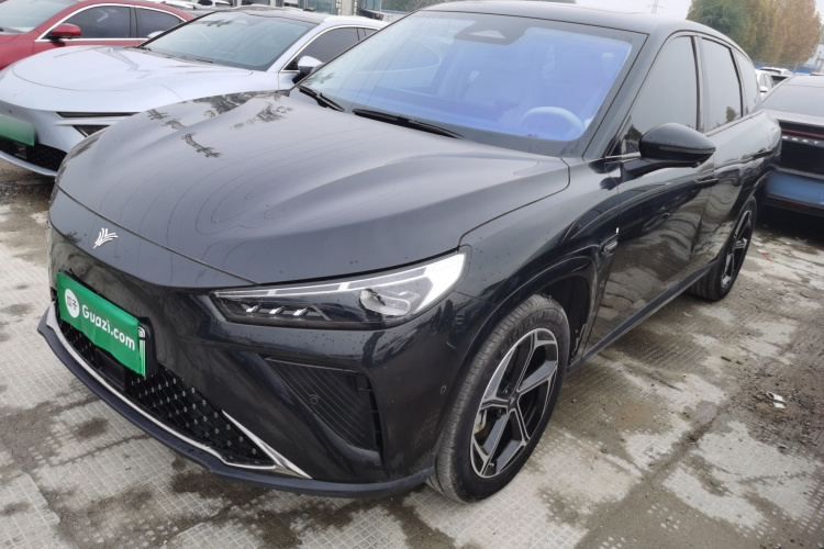 Neta L 2024 imagen de coche #2