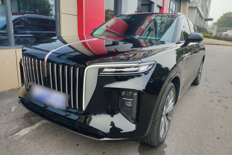HongQi E-HS9 2022 #2 HongQi E-HS9 2022 car image #2